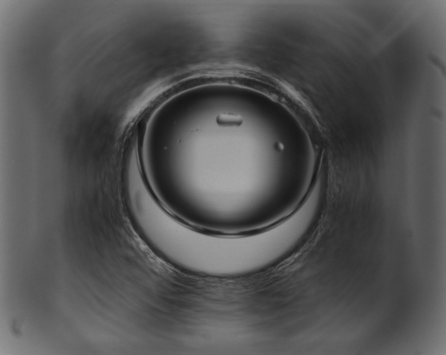 X0000101991456200807181137