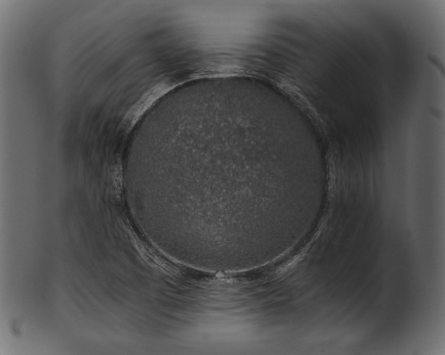 X0000101991457200807181137