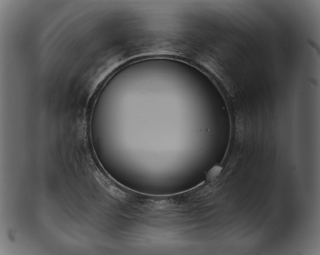 X0000101991460200807181137