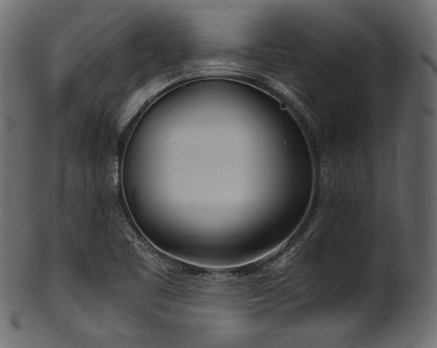 X0000101991461200807181137