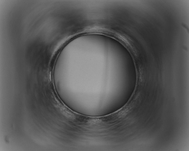 X0000101991462200807181137