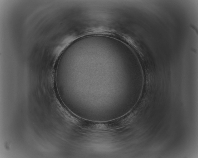 X0000101991463200807181137