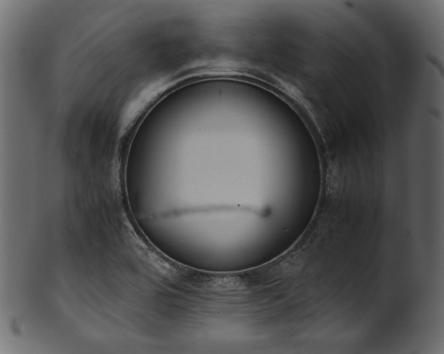 X0000101991464200807181137