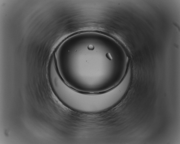 X0000101991468200807181137