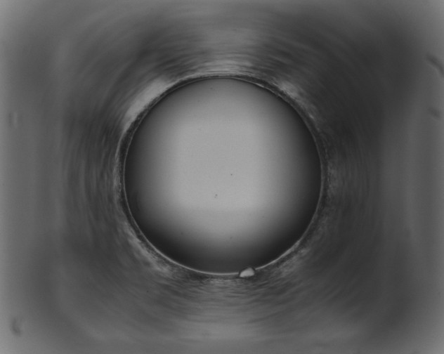 X0000101991469200807181137