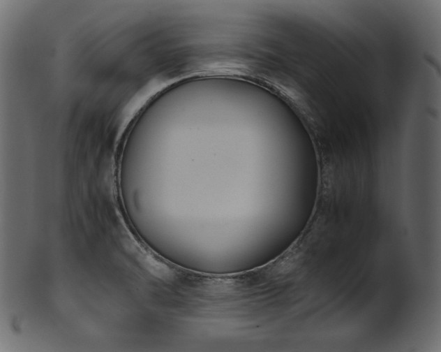 X0000101991470200807181137