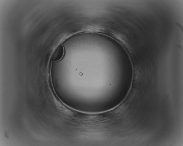 X0000101991471200807181137