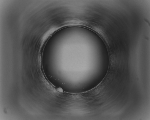 X0000101991472200807181137