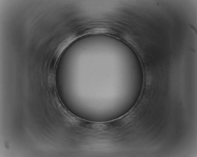 X0000101991473200807181137