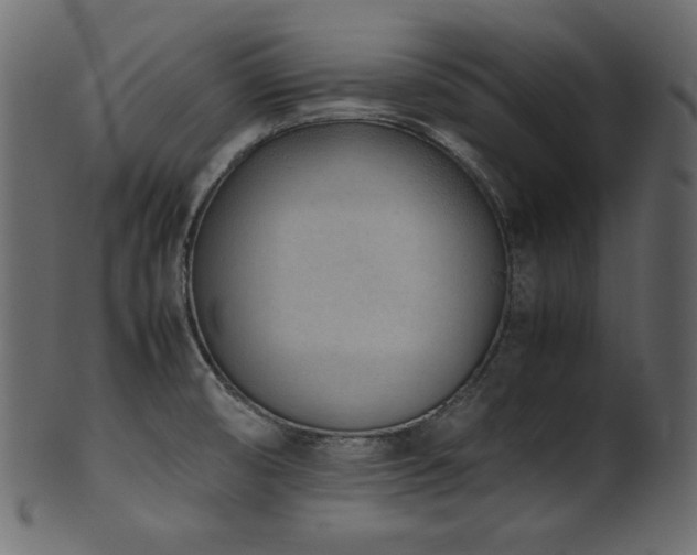 X0000101991474200807181137
