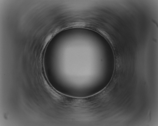 X0000101991475200807181137