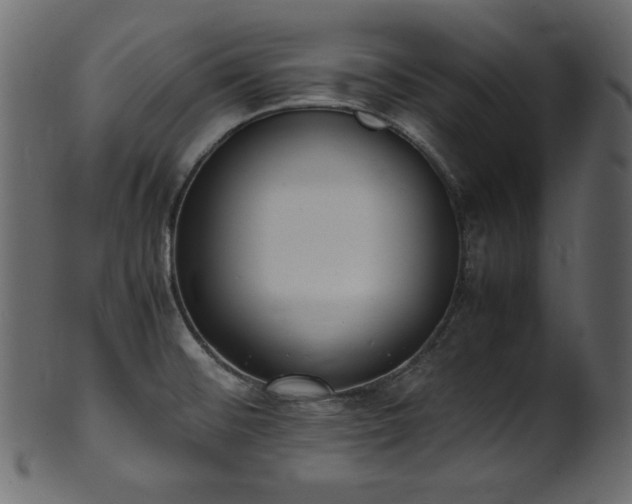 X0000101991476200807181136