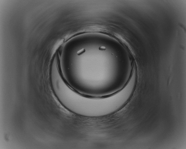 X0000101991477200807181136
