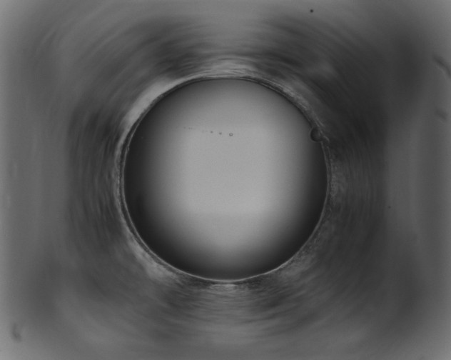 X0000101991478200807181136