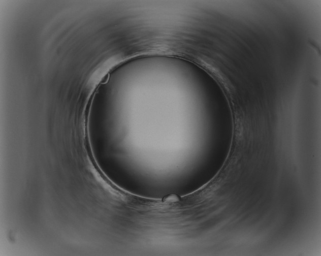 X0000101991479200807181136
