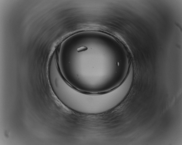 X0000101991480200807181136
