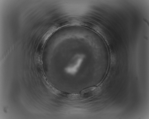 X0000101991481200807181136