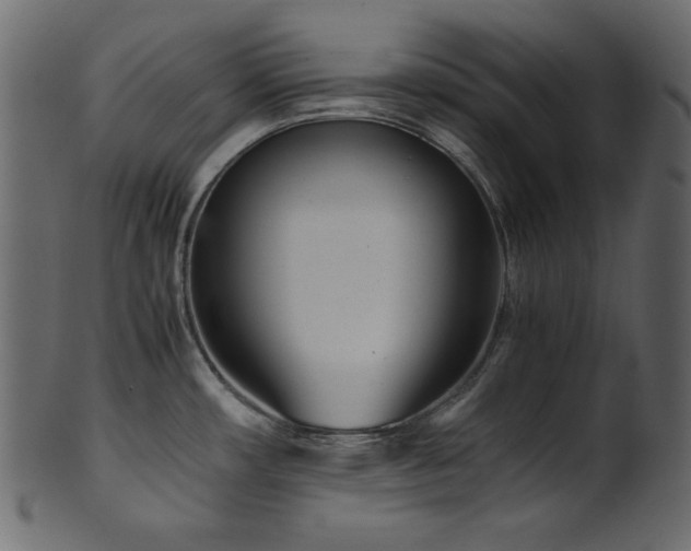 X0000101991482200807181136