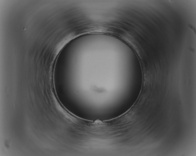 X0000101991483200807181136