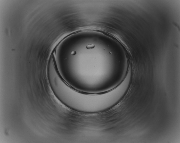 X0000101991484200807181136