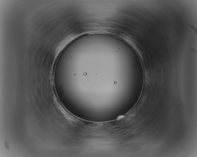 X0000101991485200807181136