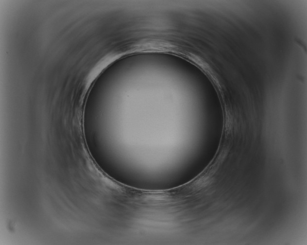 X0000101991486200807181136