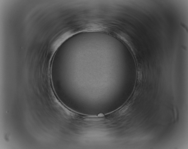 X0000101991487200807181136
