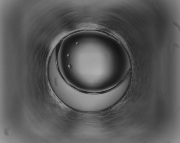 X0000101991488200807181136