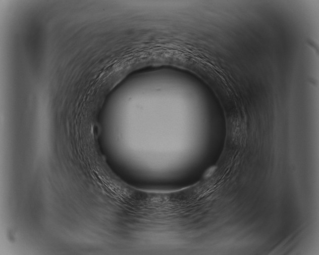 X0000101991489200807181135