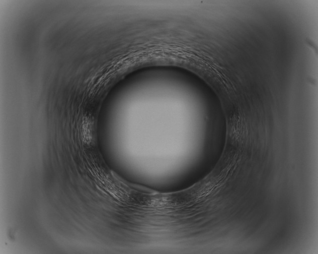 X0000101991490200807181135