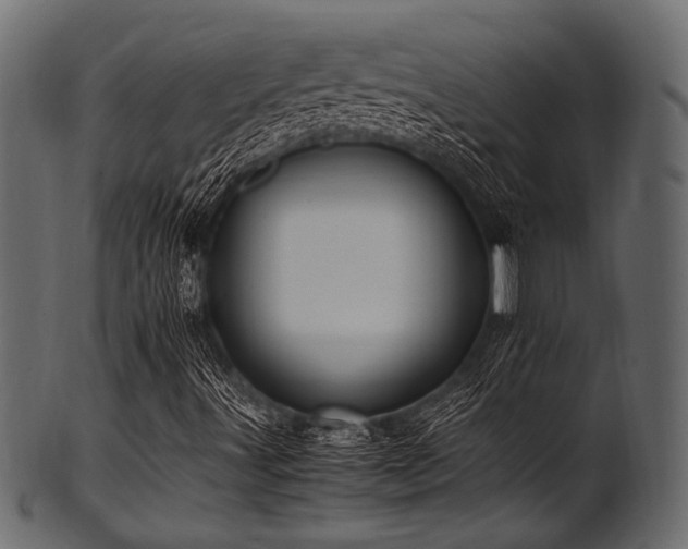 X0000101991491200807181136