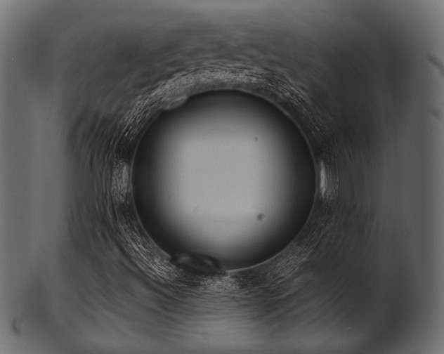X0000101991492200807181136