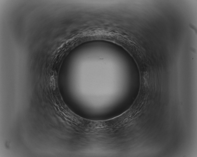 X0000101991493200807181136