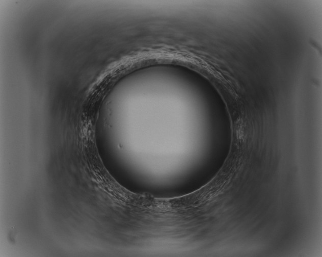 X0000101991495200807181136
