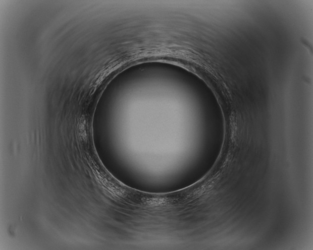 X0000101991497200807181136