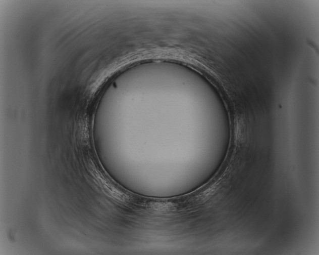 X0000101991498200807181136