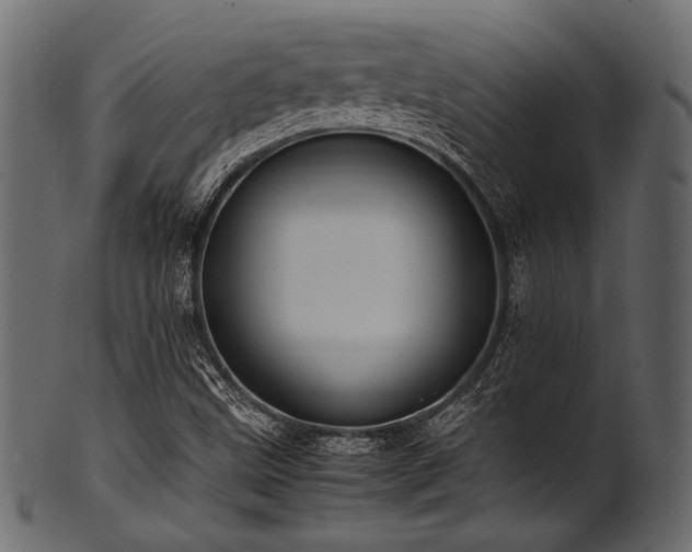 X0000101991499200807181136