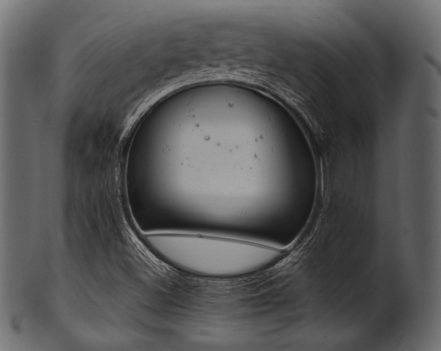 X0000101991500200807181136