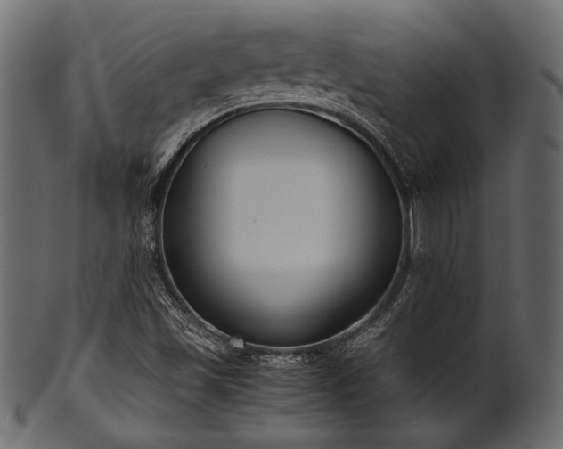 X0000101991501200807181136