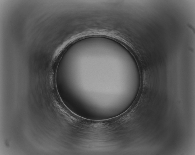 X0000101991502200807181136
