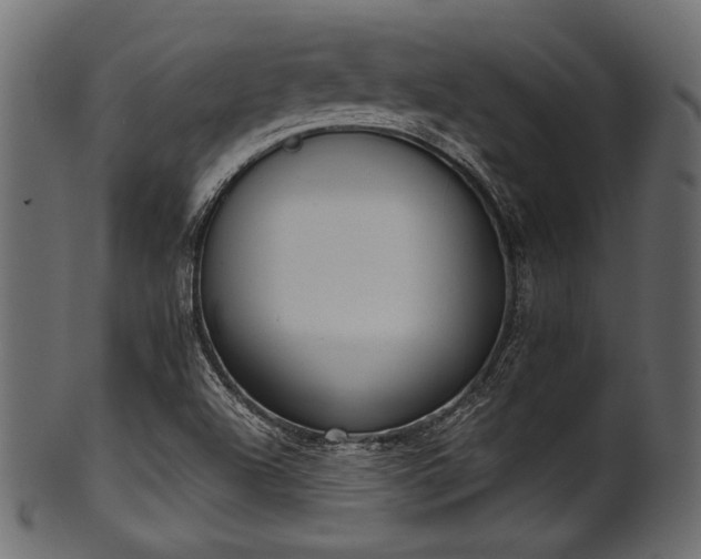 X0000101991504200807181136