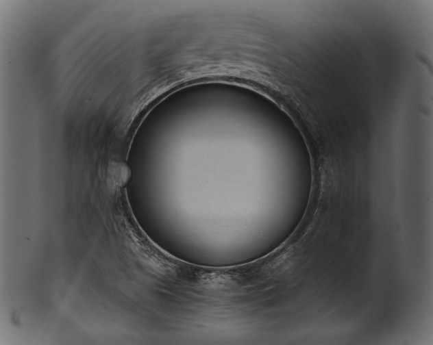 X0000101991505200807181136