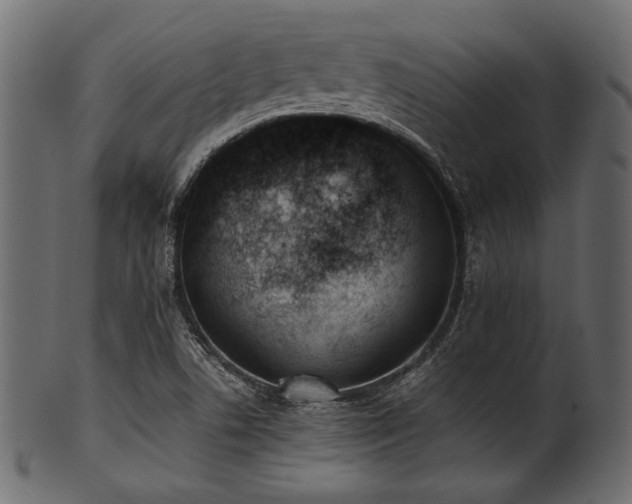 X0000101991506200807181136