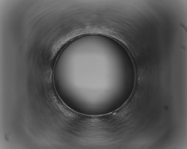 X0000101991507200807181136