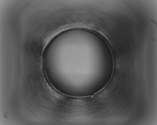 X0000101991508200807181136