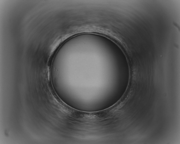 X0000101991509200807181136