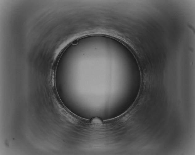 X0000101991510200807181136
