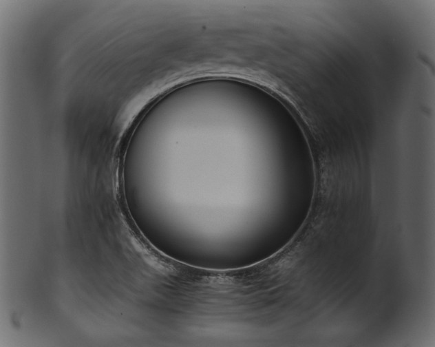 X0000101991511200807181136