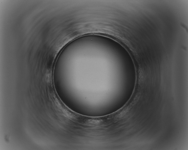 X0000101991513200807181136