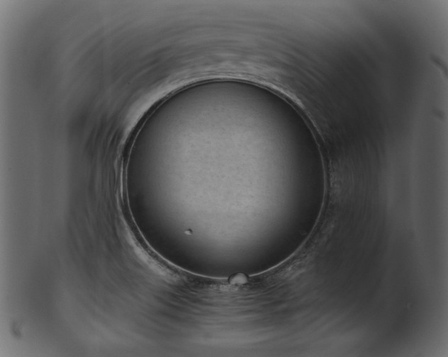 X0000101991515200807181136
